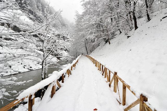 Trabzon'da doğayla iç içe yürüyüş parkuru açıldı