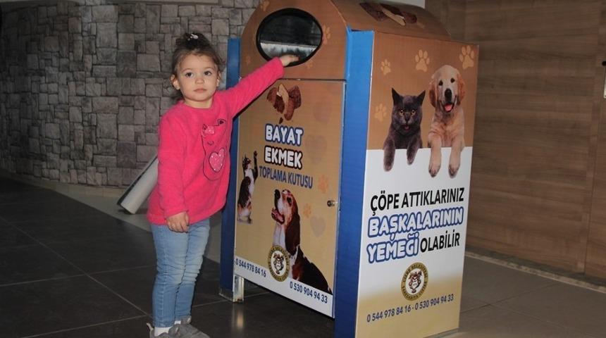 Cizre&rsquo;de israf &ouml;nlenecek, sokak hayvanları a&ccedil; kalmayacak