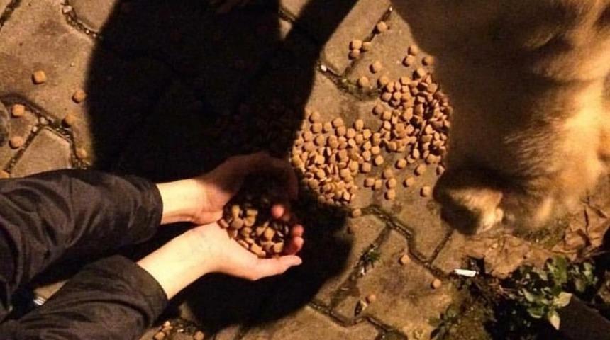 Miniklerden "Sokak dostlarımızı besleyelim" kampanyası