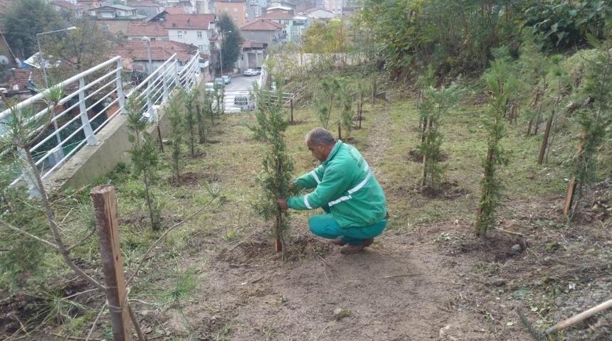 İzmit&rsquo;te park bah&ccedil;e &ccedil;alışmaları devam ediyor