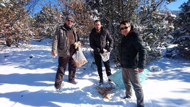 Beyşehir’de yaban hayvanlarına yem desteği