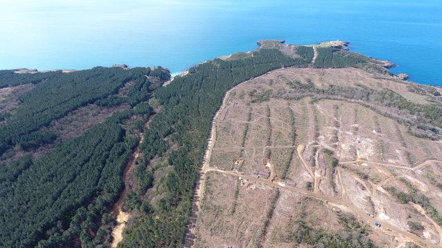 'Japon şirket, Sinop'taki nükleer güç santrali projesini askıya aldı' iddiası