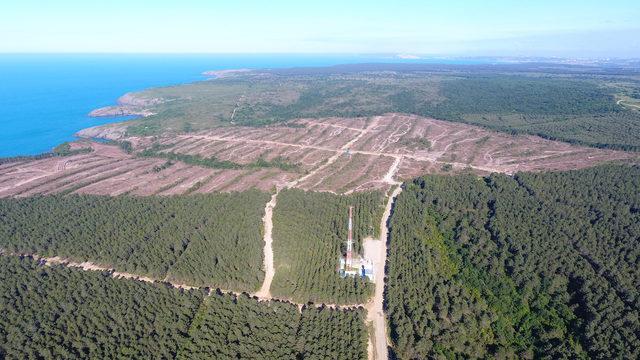 'Japon şirket, Sinop'taki nükleer güç santrali projesini askıya aldı' iddiası