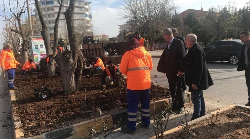 Kilis&rsquo;te Lale devri