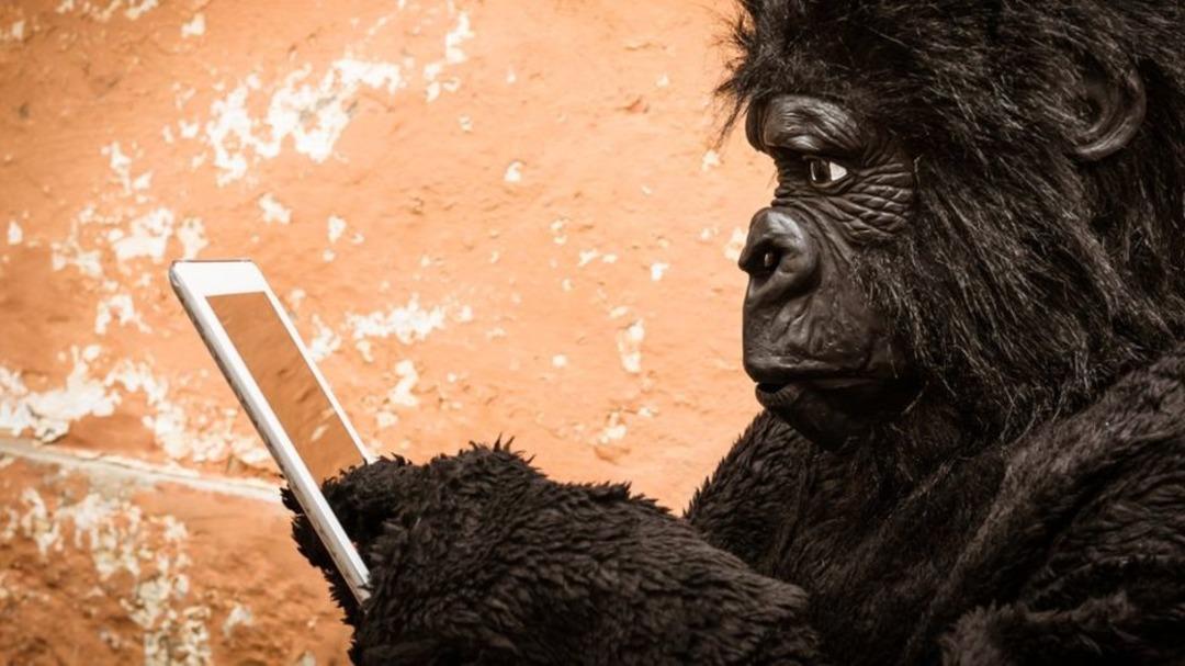 V&uuml;cudumuzda 'artık ihtiya&ccedil; duymadığımız' &ouml;zellikler