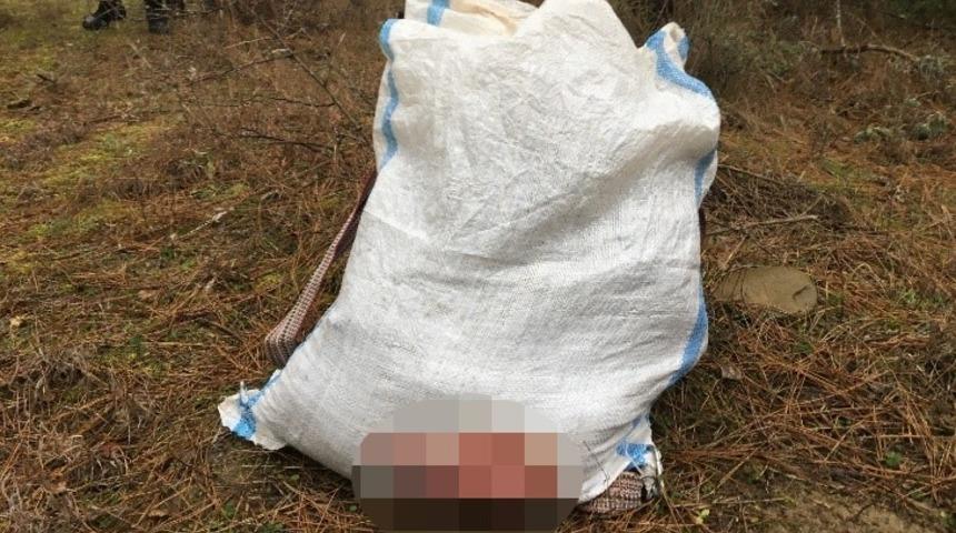 Sinop&rsquo;ta yasa dışı karaca avcılarına su&ccedil;&uuml;st&uuml;