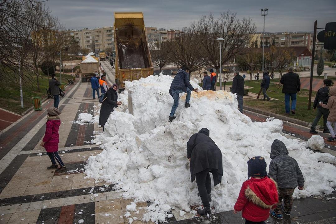 Karacadağ'dan getirip kamyonlarla d&ouml;kt&uuml;ler
