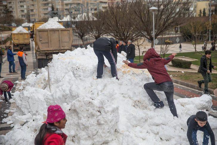 Karacadağ'dan getirip kamyonlarla döktüler G4