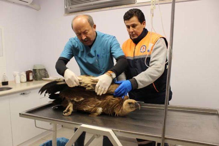 Denizli'de çobanlar buldu! Hemen harekete geçildi... G1