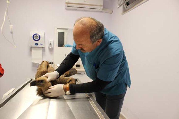 Denizli'de çobanlar buldu! Hemen harekete geçildi... G3