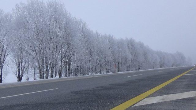 Muş’ta dereler dondu, ağaçlar buz kesti