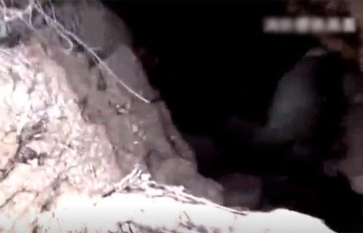 Dev delikten garip sesler duydular, aşağı bakınca şoke oldular G2