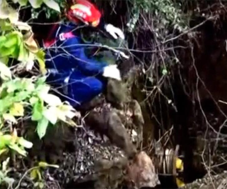 Dev delikten garip sesler duydular, aşağı bakınca şoke oldular G3