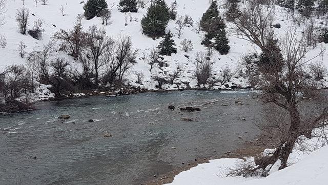 Tunceli'de yoğun karda aç kalan yaban hayvanlarına koruma