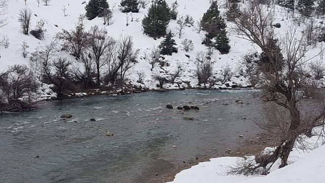 Tunceli'de yoğun karda aç kalan yaban hayvanlarına koruma