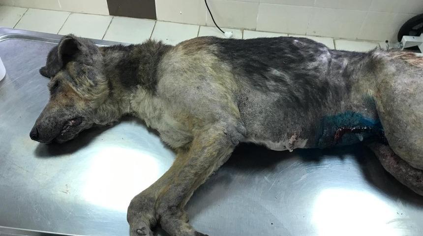 Erenler Belediyesinden &ouml;rnek davranış