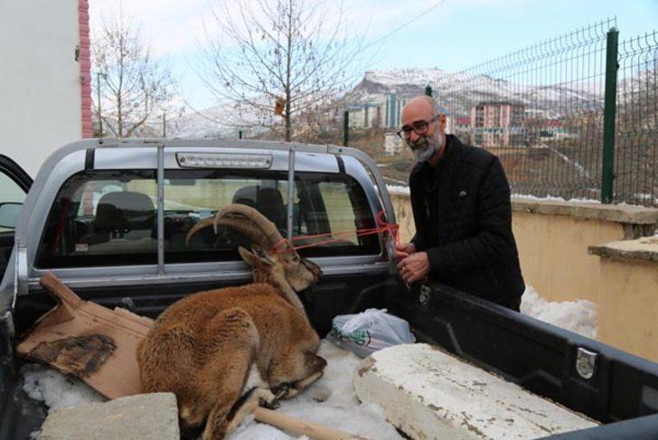 2 metreyi aşan kar onları da vurdu!  G3