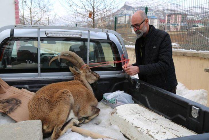 2 metreyi aşan kar onları da vurdu!  G4