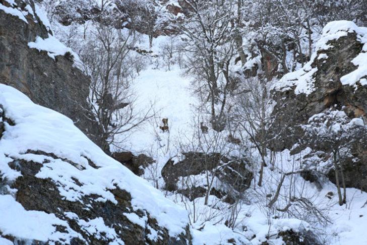 2 metreyi aşan kar onları da vurdu!  G5