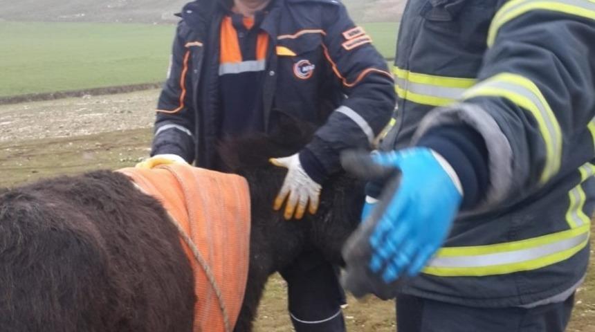 Su kuyusuna d&uuml;şen eşek kurtarıldı