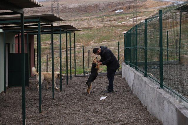 Mardin’de hayvan barınaklarına ısıtıcılar konuldu