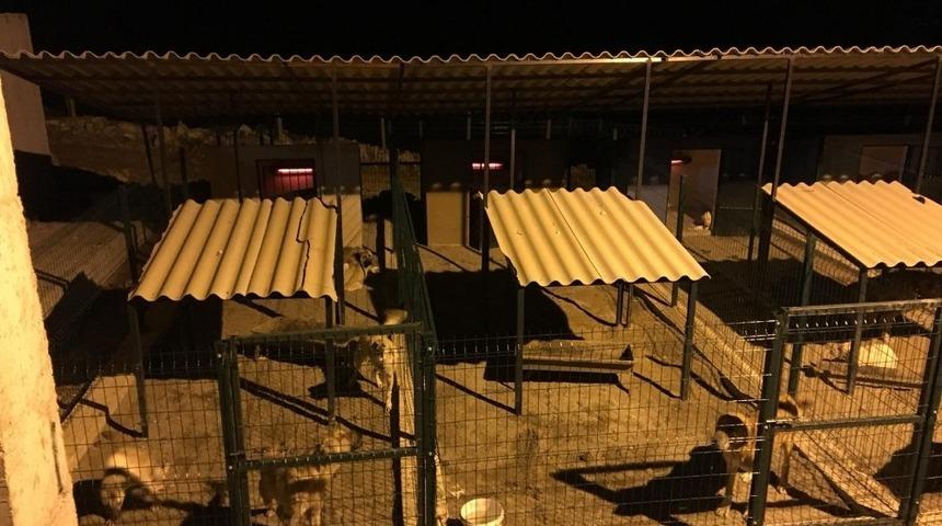 Mardin&rsquo;de hayvan barınaklarına ısıtıcılar konuldu