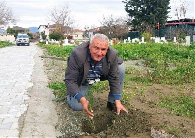 Büyükşehir “Bir Dikili Fidanım Olsun” diyor