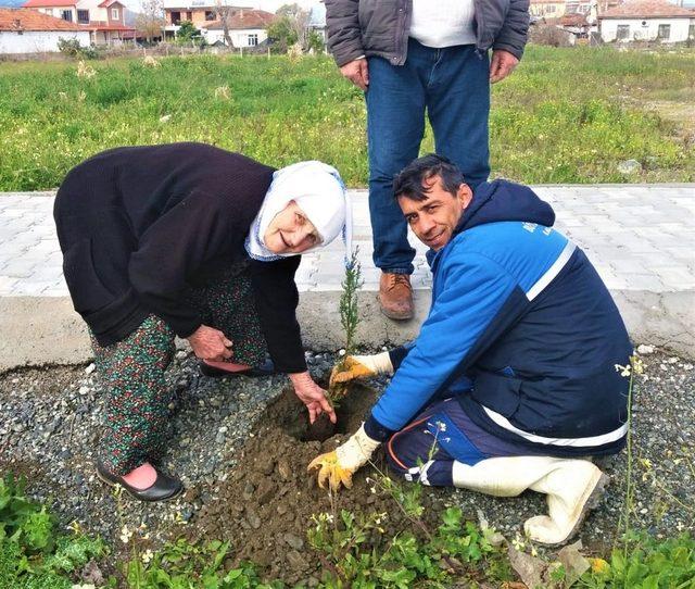 Büyükşehir “Bir Dikili Fidanım Olsun” diyor