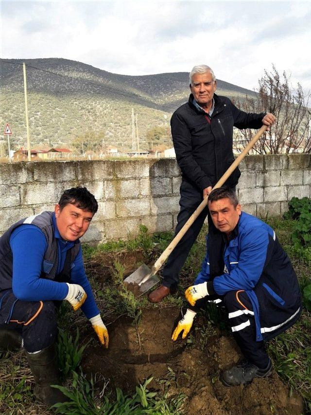 Büyükşehir “Bir Dikili Fidanım Olsun” diyor