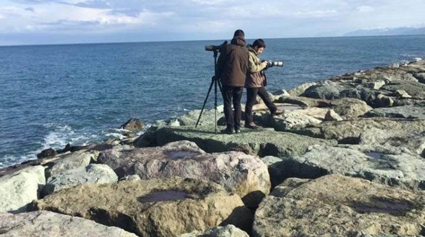 Rize&rsquo;de su kuşları sayımı yapıldı