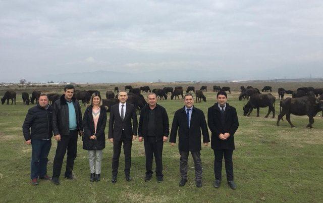 Öztürk’ten Salihli’de manda çiftliğine ziyaret