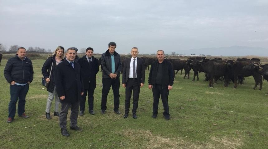 Öztürk’ten Salihli’de manda çiftliğine ziyaret