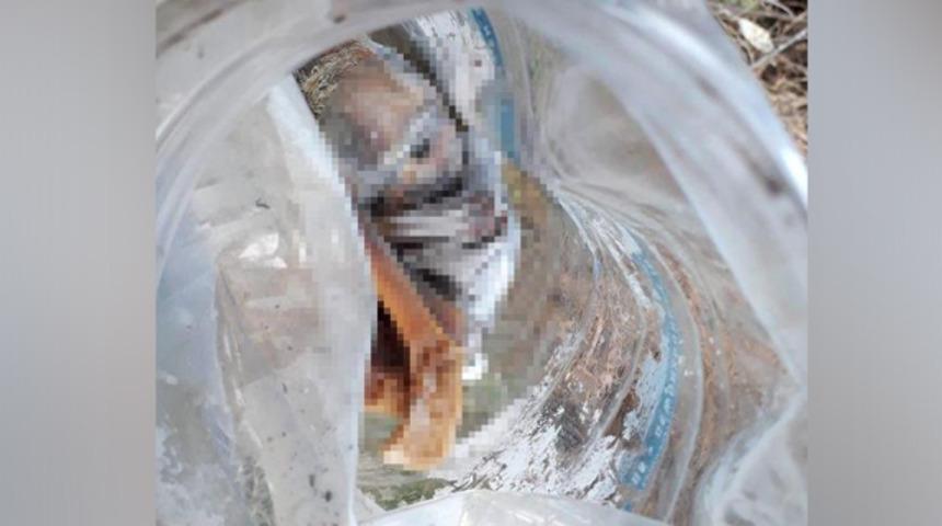 Denizli'de bidon içinde bebek cesedi bulundu