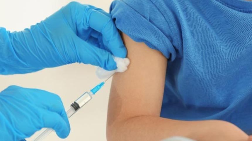 Gürcistan'da domuz gribi kabusu! Çok sayıda ölü var