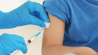 Gürcistan'da domuz gribi kabusu! Çok sayıda ölü var