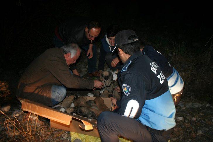 Dere kenarında donmak üzereyken bulundular G3