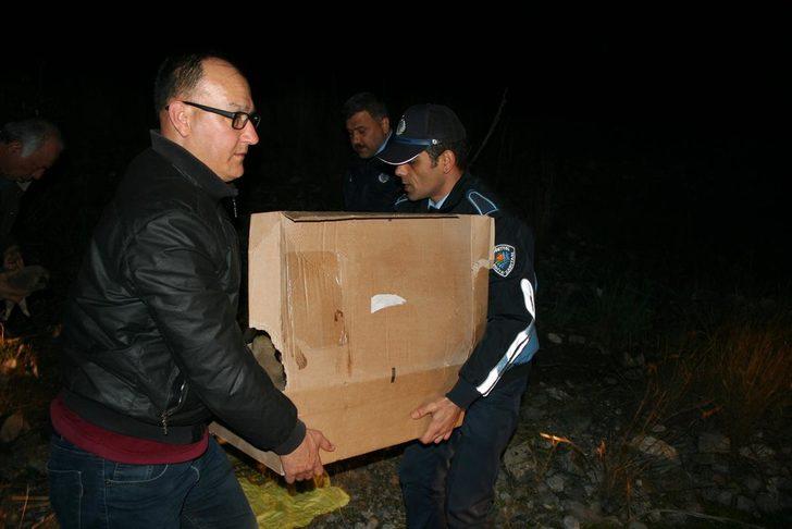 Dere kenarında donmak üzereyken bulundular G4