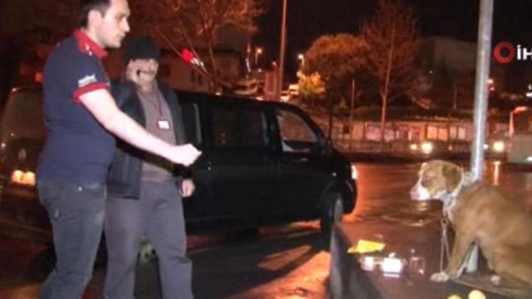 İstanbul Şişli'de bir k&ouml;pek direğe zincirlenmiş halde bulundu