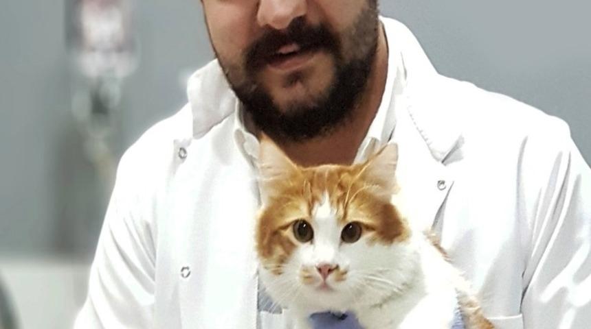 Veteriner Hekimler Odası Başkanı Şahin, &ldquo;Toxoplasma d&uuml;n&uuml;n bug&uuml;n&uuml;n hastalığı değildir&rdquo;