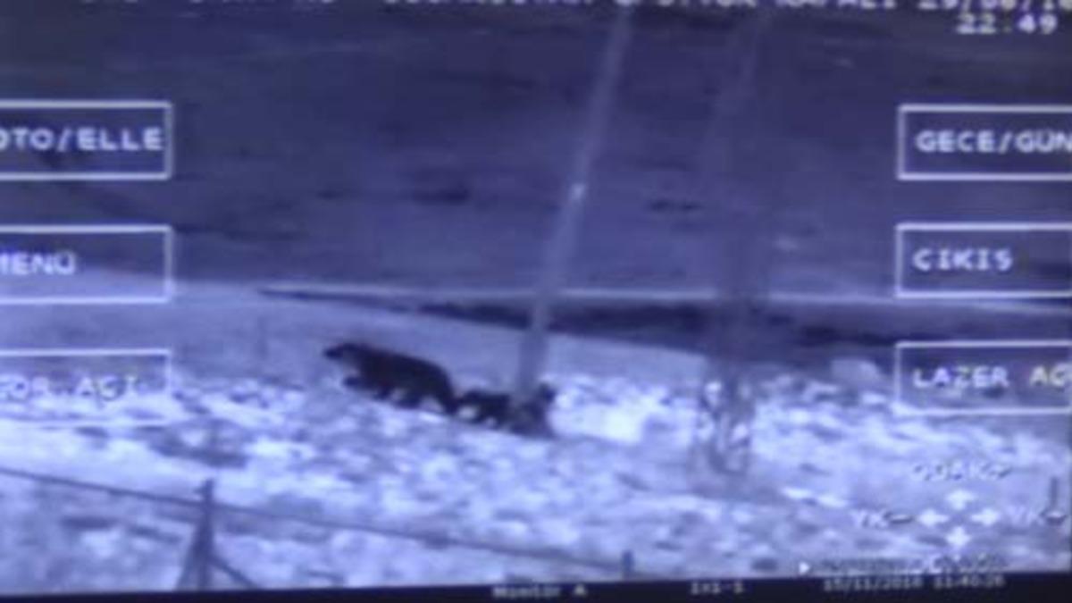 Gece mağaralarından tek tek inip...