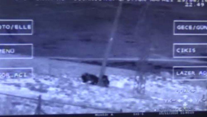 Van'da ilginç görüntü! VADAŞ'ın başına dert oldular G2