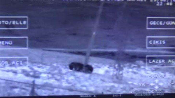 Van'da ilginç görüntü! VADAŞ'ın başına dert oldular G3