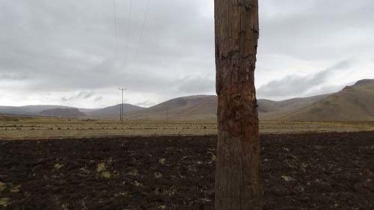 Van'da ilginç görüntü! VADAŞ'ın başına dert oldular G4