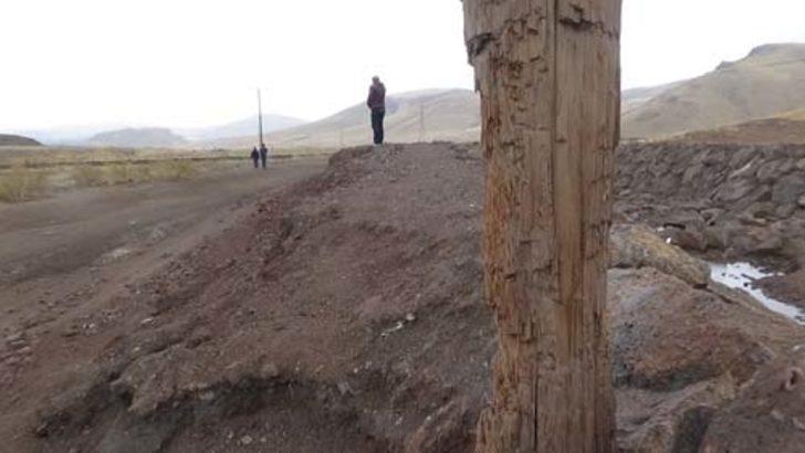 Van'da ilginç görüntü! VADAŞ'ın başına dert oldular G5