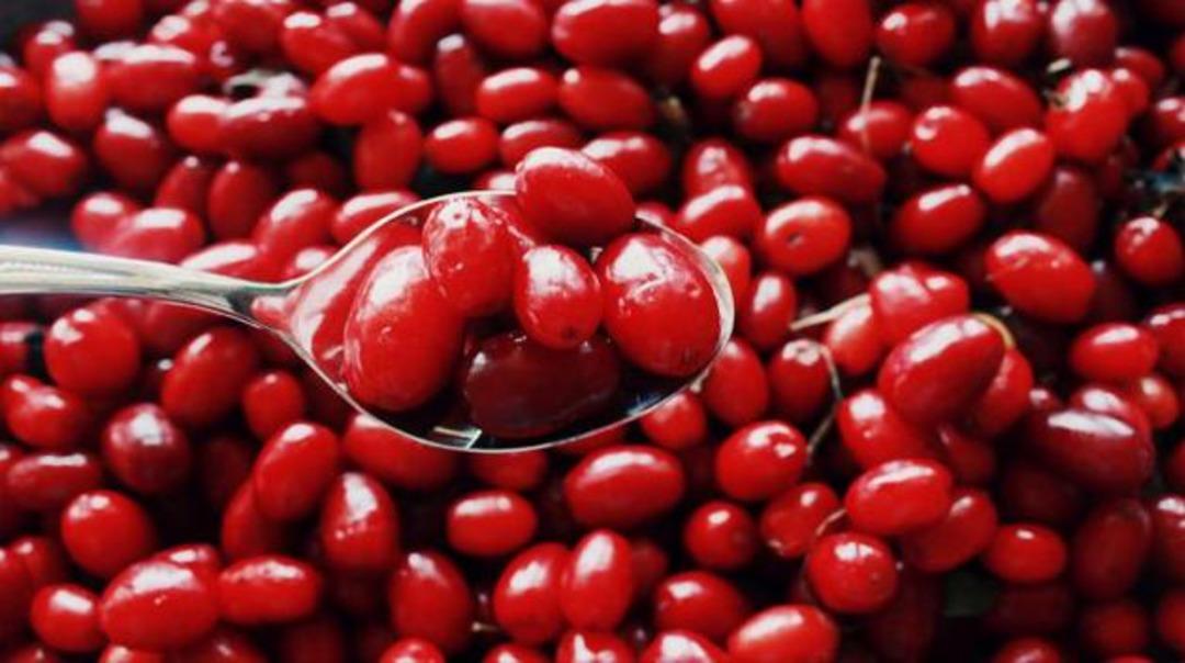 M&uuml;kemmel bir idrar s&ouml;kt&uuml;r&uuml;c&uuml; olan kızılcığın 7 &ouml;nemli faydası