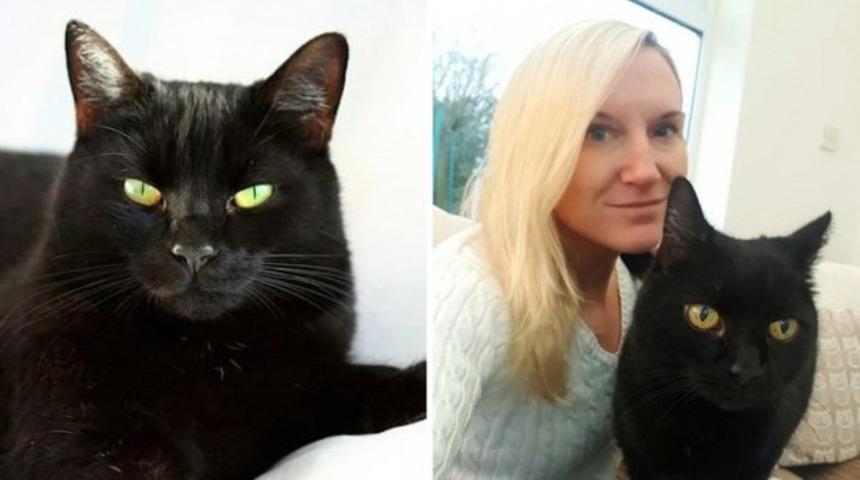 Kayıp kedi 10 yıl sonra eve döndü!