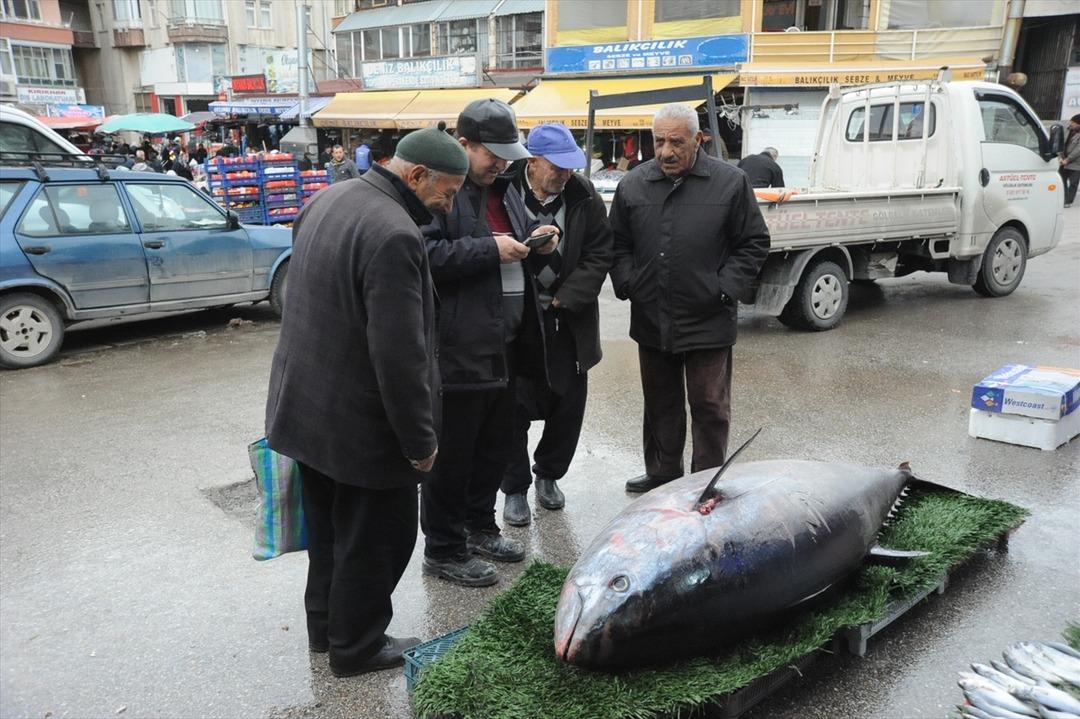Kilosu 30 liradan satılıyor! G&ouml;ren fotoğrafını &ccedil;ekmeden ge&ccedil;miyor