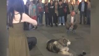 Genç kız çaldı, o eşlik etti