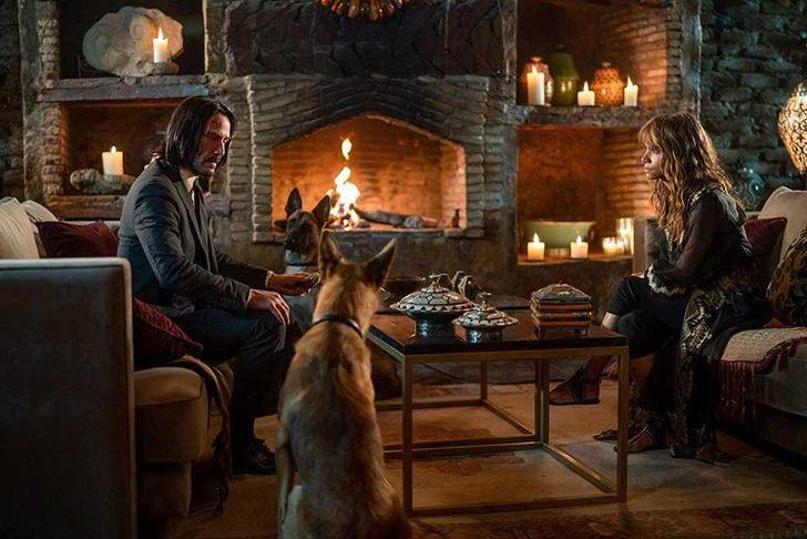 John Wick 3'teki köpekli sahnelerin sırrı ortaya çıktı G1
