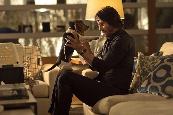 John Wick 3'teki köpekli sahnelerin sırrı ortaya çıktı G3